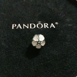 Pandora Charm